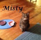 Misty Ferguson 2012-2015